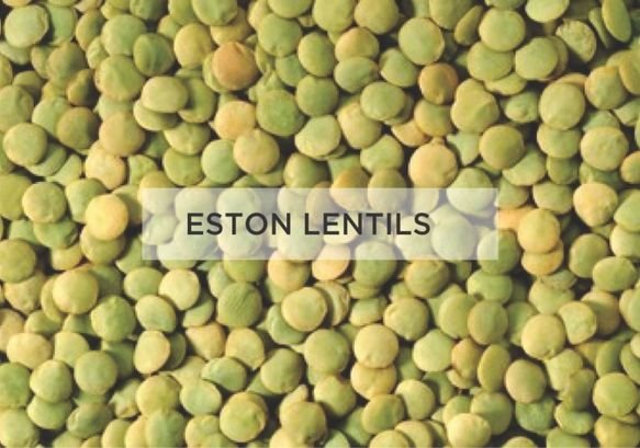 Agricultural Products